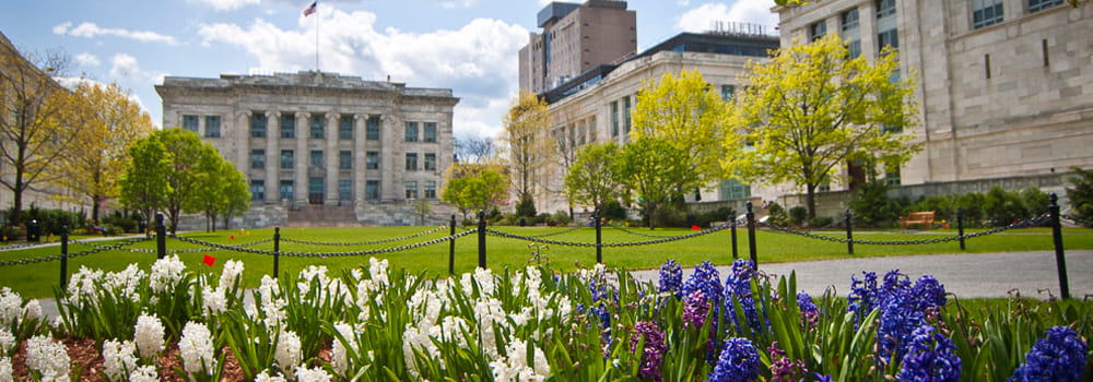 Harvard Medical School Quad and Gordon Hall in the spring